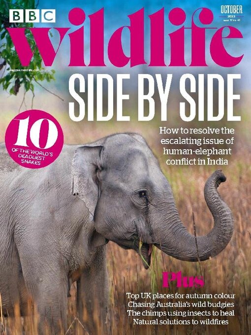 Title details for BBC Wildlife Magazine by Our Media Limited - Available